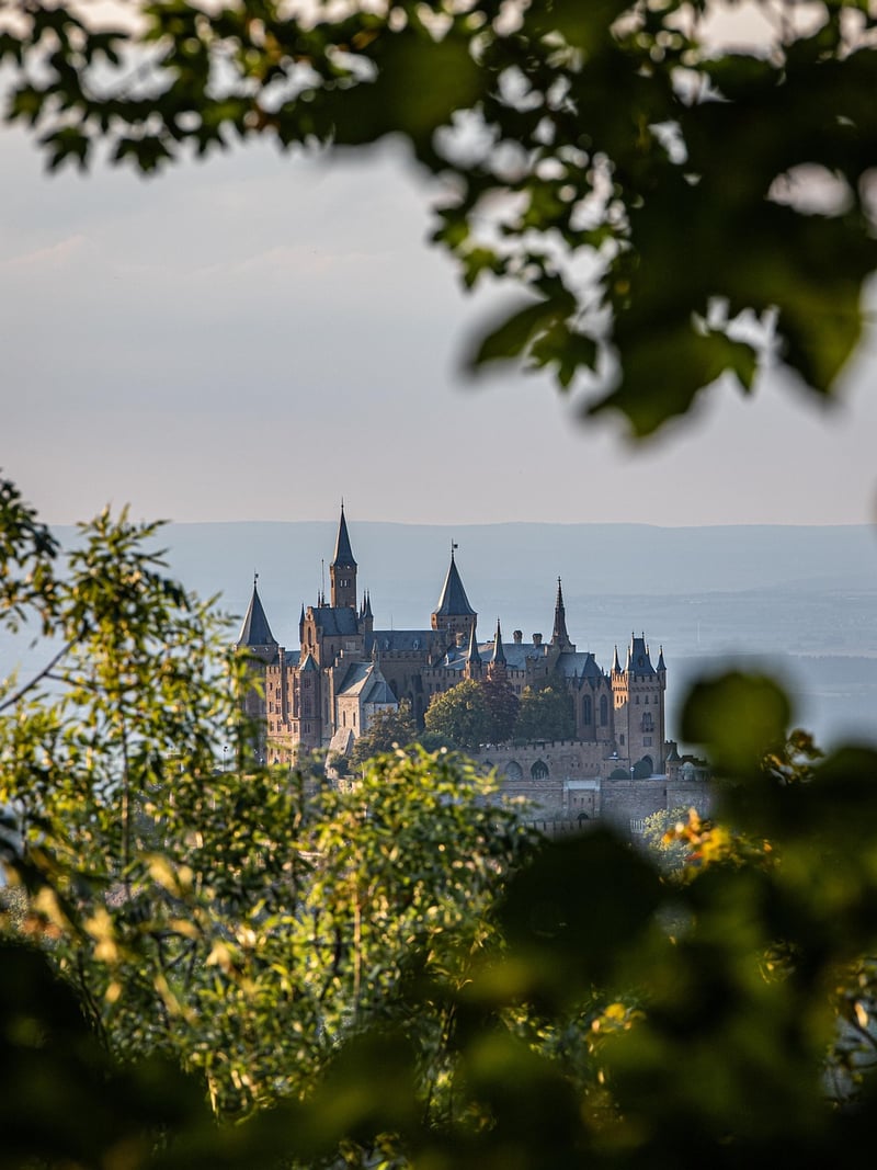 High Middle Ages Castle